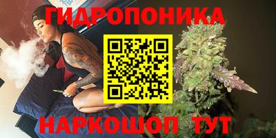 дурь Тверь