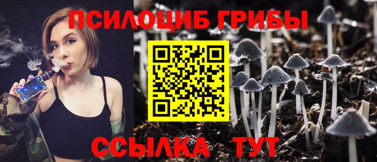 Псилоцибиновые грибы мицелий Якутск