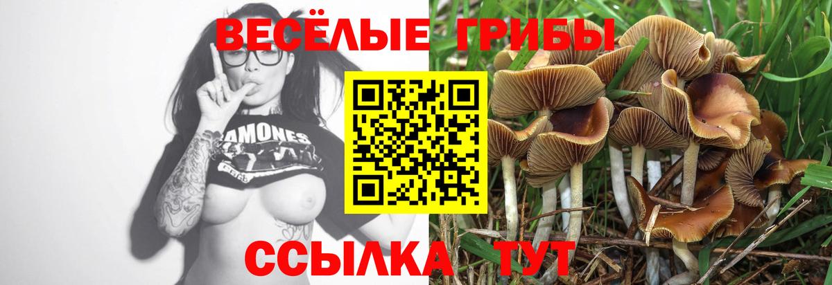 Якутск  Псилоцибиновые грибы MAGIC MUSHROOMS  Вход с VPN  Псилоцибиновые грибы Psilocybe 